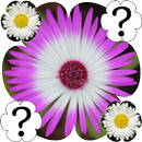 Flowers Memory Game APK