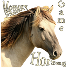 Horses Memory Game icon
