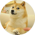 Dog Stickers for WhatsApp - WAStickerApps