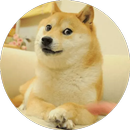 APK Dog Stickers for WhatsApp - WAStickerApps