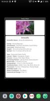 Indoor Plant Widget 포스터