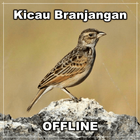 Kicau Burung Branjangan أيقونة