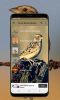 Kicau Burung Branjangan الملصق