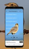 Kicau Burung Branjangan تصوير الشاشة 2