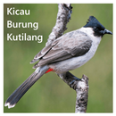 Kicau Burung Kutilang Offline APK