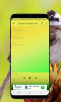 Kicau Burung Trucukan Offline capture d'écran 3