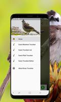 Kicau Burung Trucukan Offline تصوير الشاشة 1
