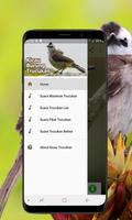 Kicau Burung Trucukan Offline capture d'écran 1