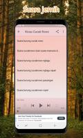 Masteran Cucak Rowo Offline تصوير الشاشة 3