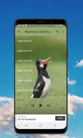 Kicau Jalak Suren - Offline تصوير الشاشة 2