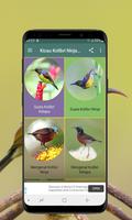 Kicau Kolibri Ninja dan Kelapa تصوير الشاشة 1