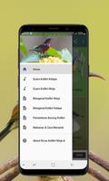 Kicau Kolibri Ninja dan Kelapa تصوير الشاشة 2