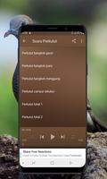 Kicau Burung Perkutut capture d'écran 3