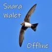 Suara Walet Panggil dan Inap