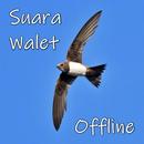 Suara Walet Panggil dan Inap APK