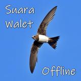 Suara Walet Panggil dan Inap icono