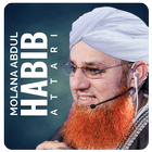 Maulana Abdul Habib Attari أيقونة