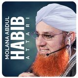 Maulana Abdul Habib Attari আইকন