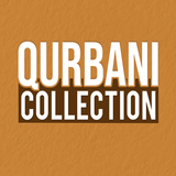 Qurbani Collection 아이콘