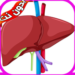 علاج الكبد والمرارة بدون نت‎‎