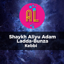 Shaykh Aliyu Adam Ladda-Bunza dawahBox APK