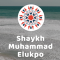 Shaykh Muhammad Elukpo dawahBox