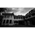 Horror House