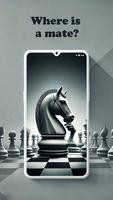 Chess Mates 海报