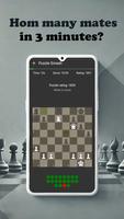 Chess Mates 截图 3
