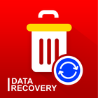 ikon Data Recovery