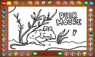 Coloring Book 27 Lite: Woodland Animals ภาพหน้าจอ 2