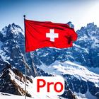 Einbürgerung Schweiz - Pro icône
