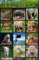 Poster เสียงสัตว์ Animal Sounds