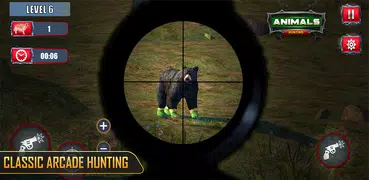 Wild Animal Hunting Game 2024