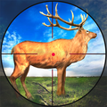 Hunting Games 2021 : Wild Deer Hunting