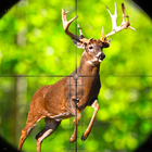 Wild Animal Hunting Simulator icon