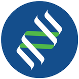 Datagenno Interactive Research