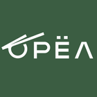 Орёл Онлайн ikona
