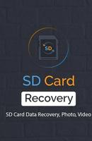 Data File Recovery Affiche