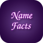 Name Facts icône