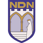 NDNin ícone