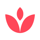 Asian Wives - Online Dating APK