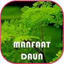 Daun dan Manfaatnya APK
