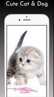 Cute Cats & Dogs Wallpaper capture d'écran 2