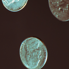 Coin Wallpaper icône