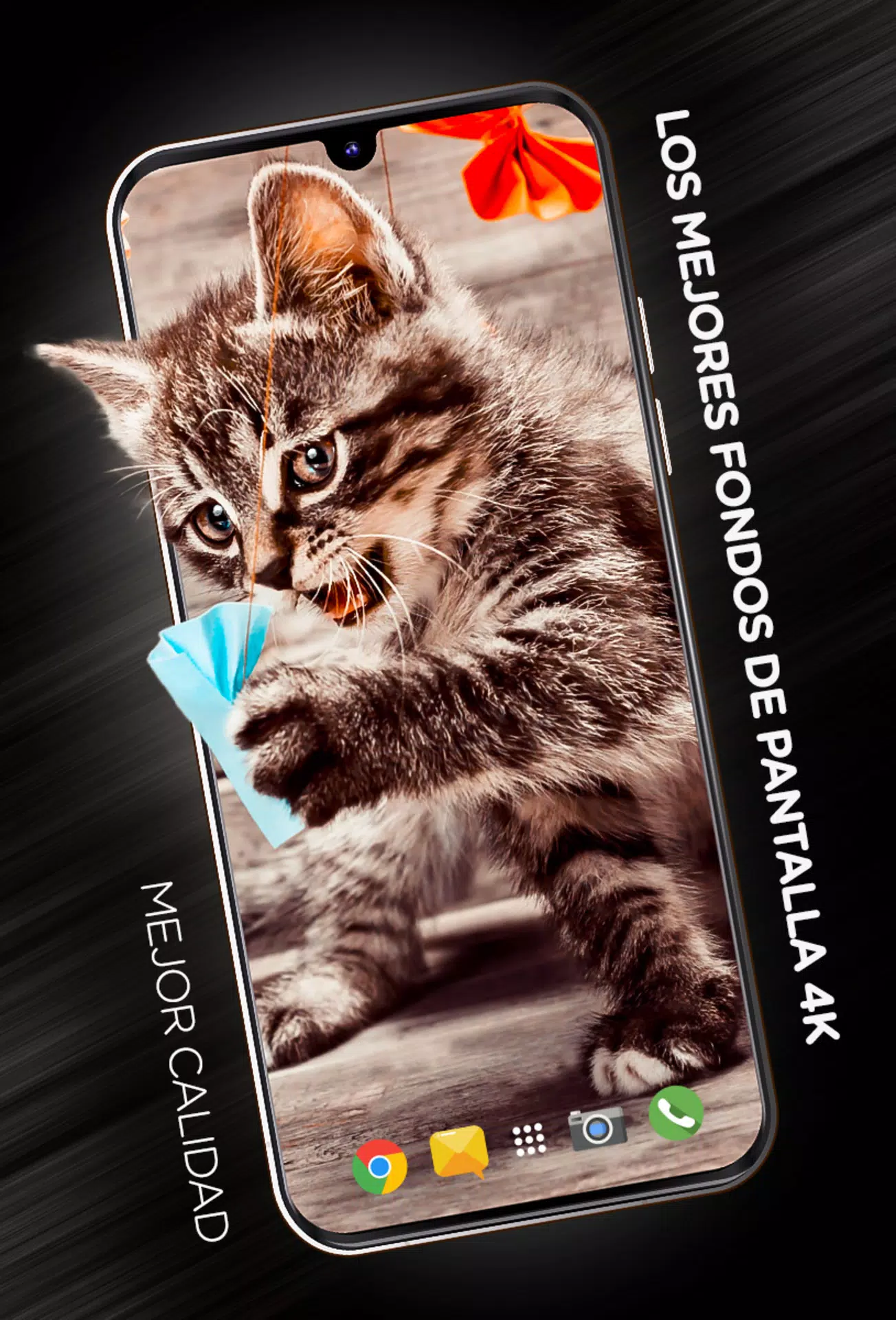 Descarga de APK de Fondos De Pantalla De Gatos para Android Descarga de APK de Fondos De Pantalla De Gatos para Android