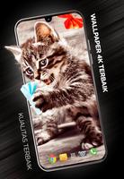 Wallpaper Kucing di 4K poster