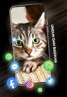 Wallpaper Kucing di 4K screenshot 2