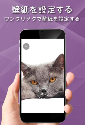 無料で 壁紙 猫 アプリの最新版 Apk02 04 Catsをダウンロードー Android用 壁紙 猫 Apk の最新バージョンを ダウンロード Apkfab Com Jp