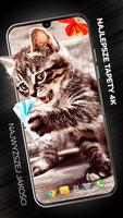 Koty Tapety w 4K plakat